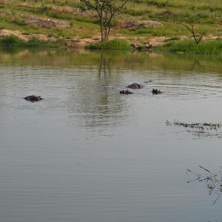 Kruger Park Lodge - Golf Safari Sa Hazyview Εξωτερικό φωτογραφία