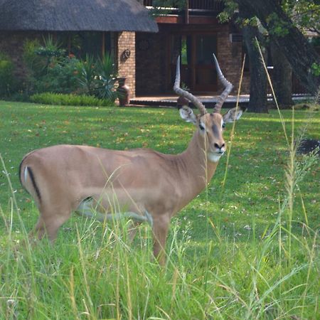 Kruger Park Lodge - Golf Safari Sa Hazyview Εξωτερικό φωτογραφία