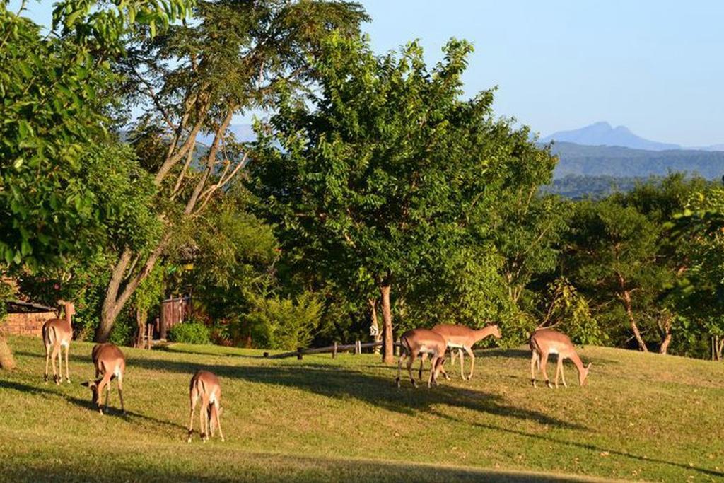 Kruger Park Lodge - Golf Safari Sa Hazyview Εξωτερικό φωτογραφία
