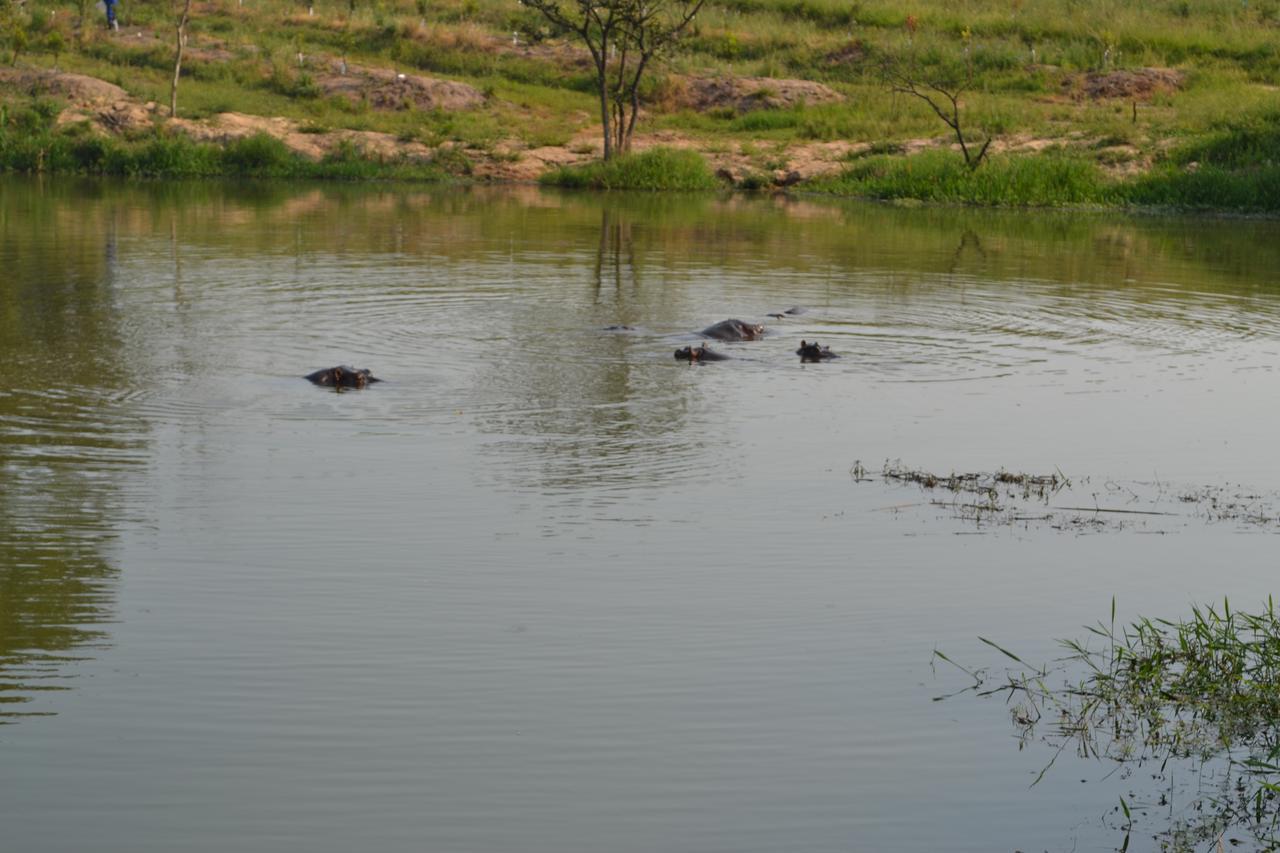 Kruger Park Lodge - Golf Safari Sa Hazyview Εξωτερικό φωτογραφία