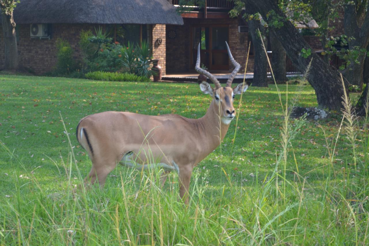 Kruger Park Lodge - Golf Safari Sa Hazyview Εξωτερικό φωτογραφία