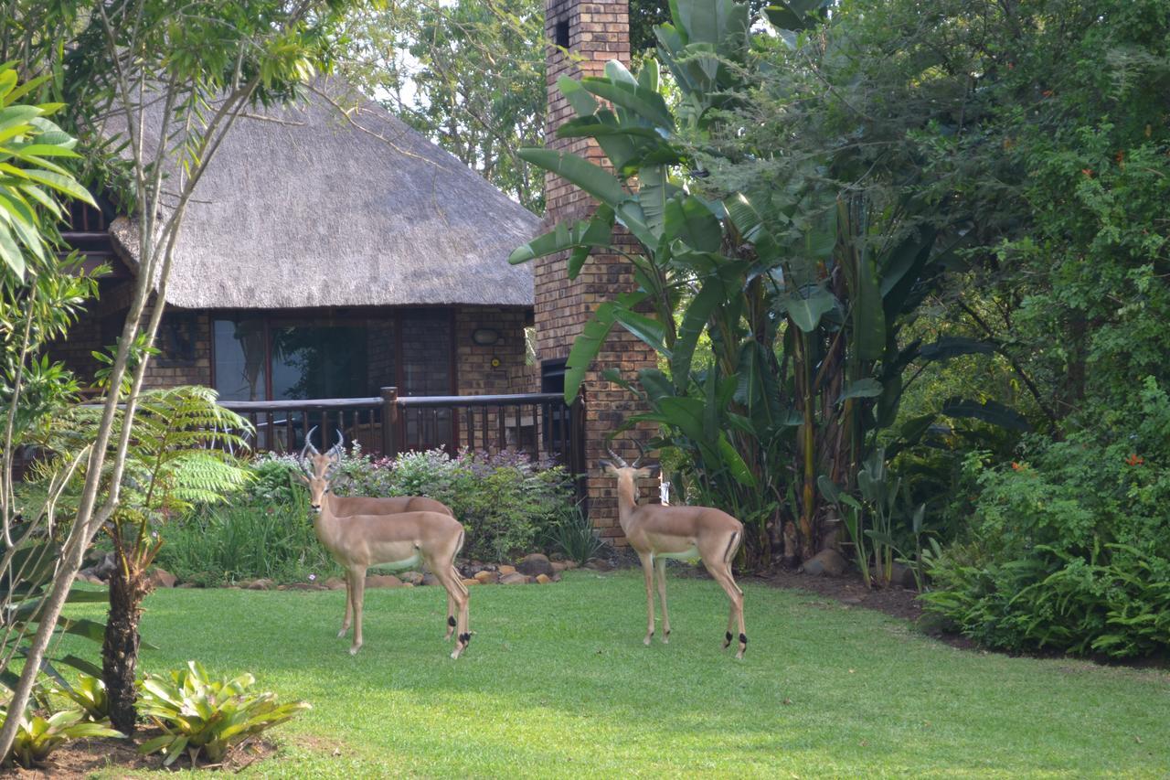 Kruger Park Lodge - Golf Safari Sa Hazyview Εξωτερικό φωτογραφία