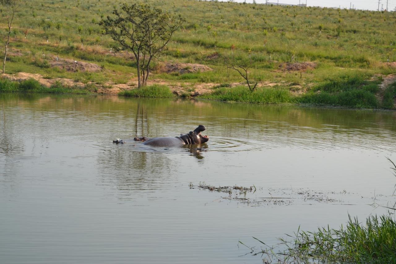 Kruger Park Lodge - Golf Safari Sa Hazyview Εξωτερικό φωτογραφία