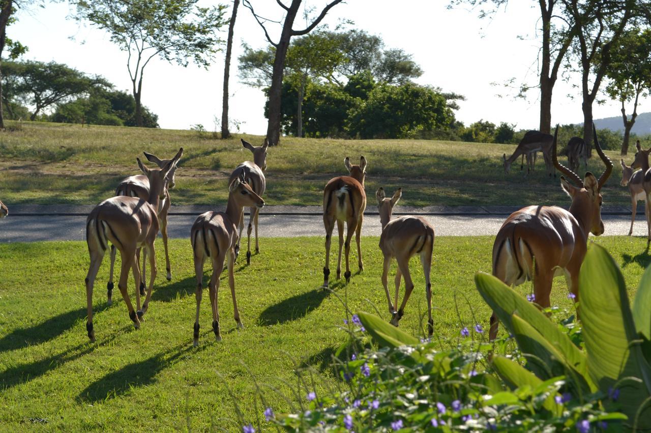 Kruger Park Lodge - Golf Safari Sa Hazyview Εξωτερικό φωτογραφία