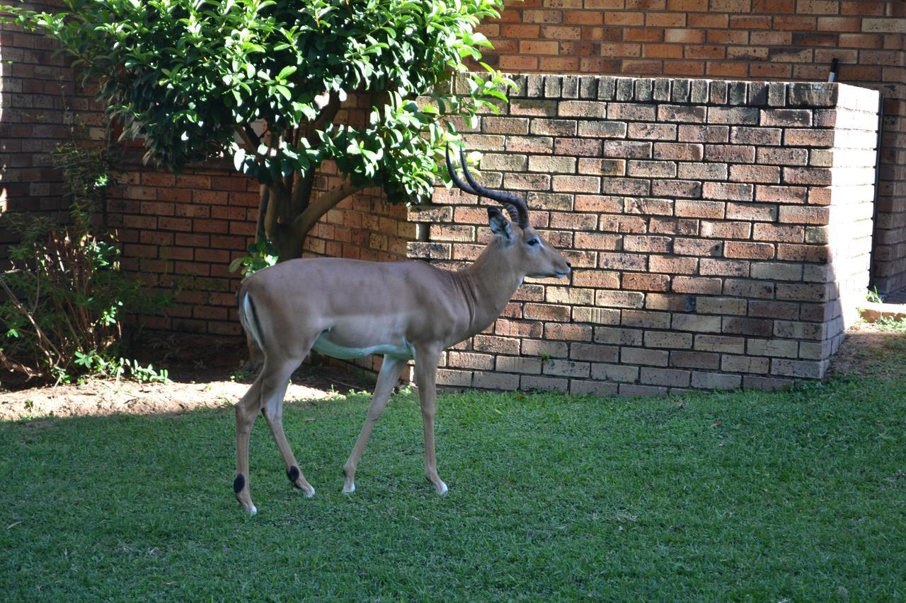 Kruger Park Lodge - Golf Safari Sa Hazyview Εξωτερικό φωτογραφία